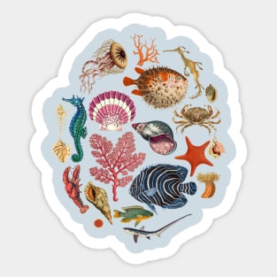 Sea Life Creatures Collection Sticker